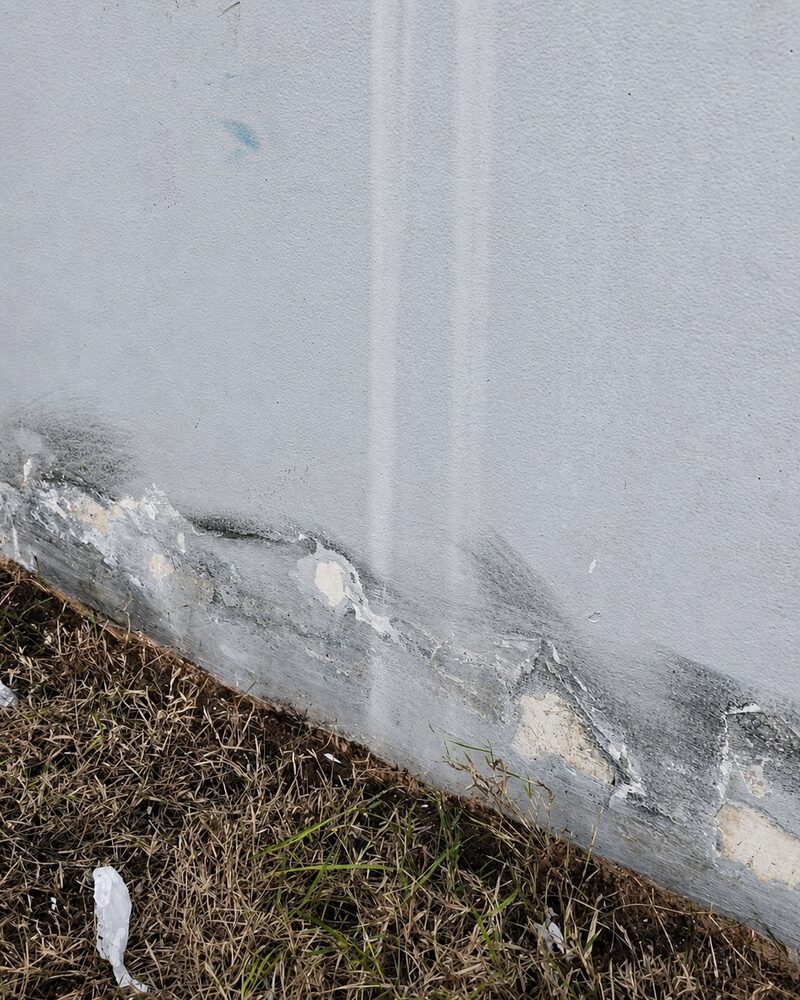 Walls before — mould